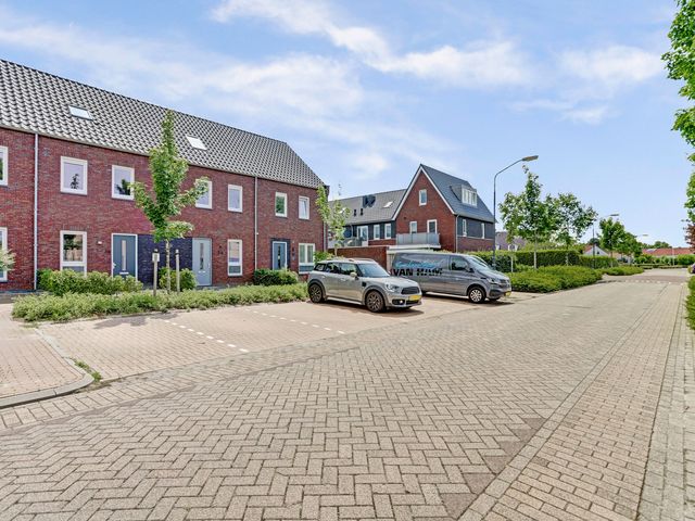 Dooleg 26, Reusel
