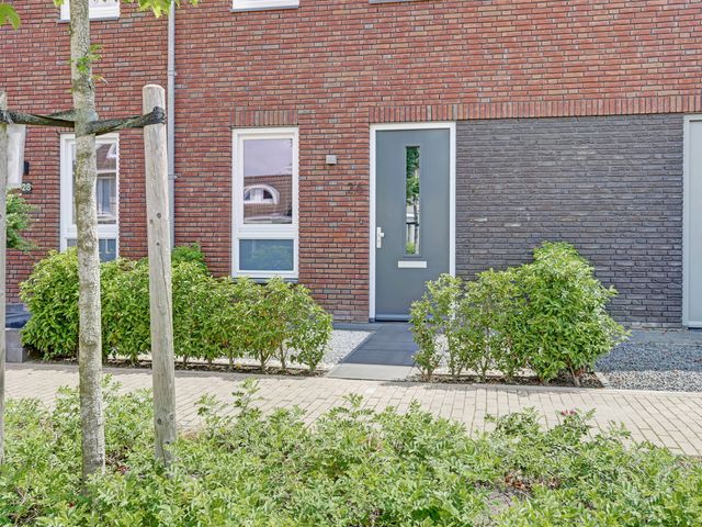 Dooleg 26, Reusel