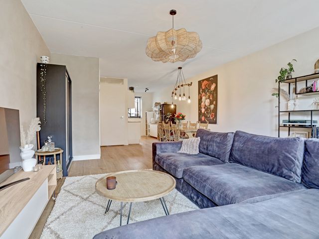 Dooleg 26, Reusel