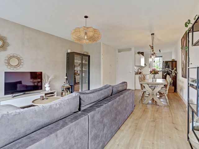 Dooleg 26, Reusel