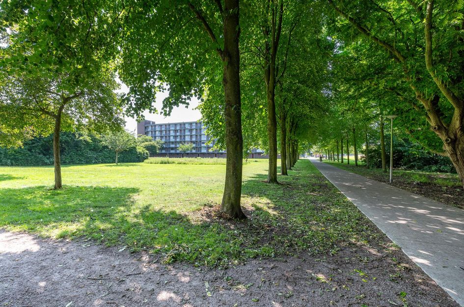 Telemannstraat 29