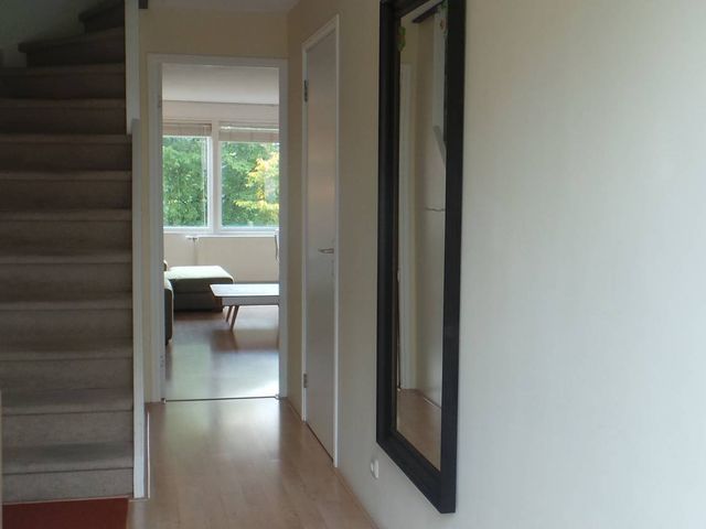 Fivelingo 247, Utrecht