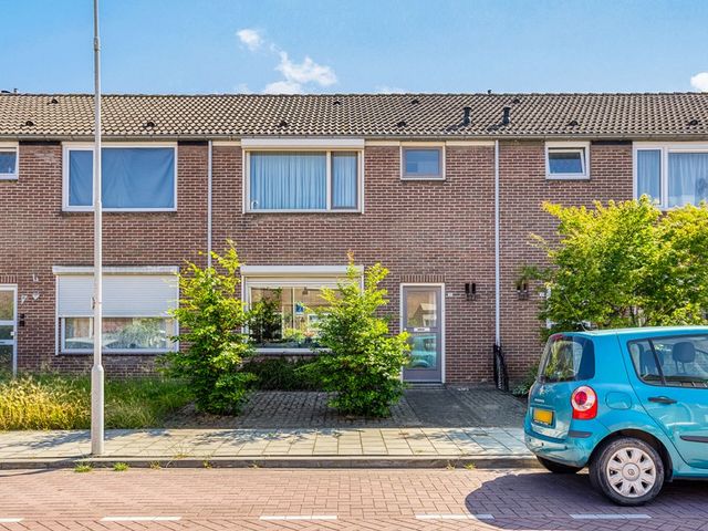 Lindenstraat 17, Vogelwaarde