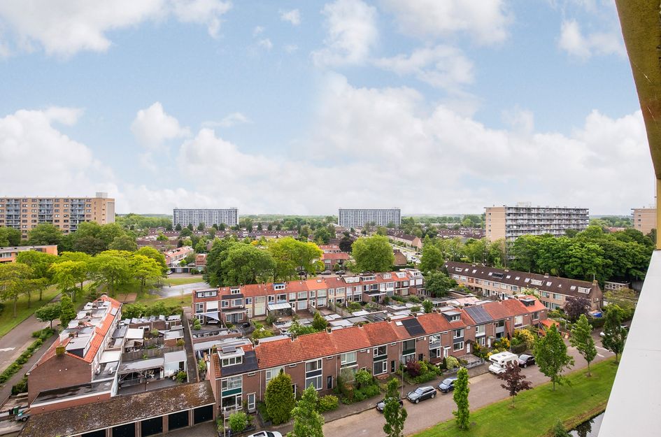 Boeierstraat 273