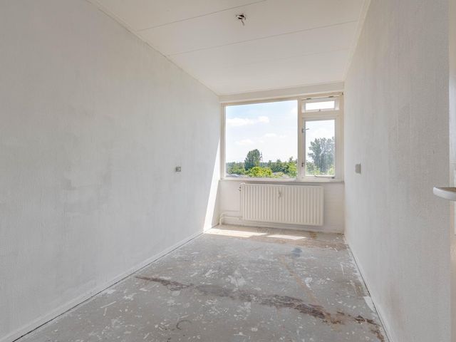 Ruigoord 196, Rotterdam