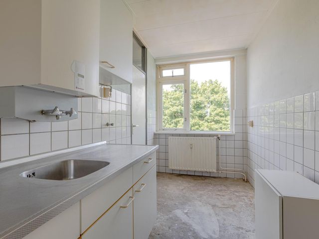 Ruigoord 196, Rotterdam