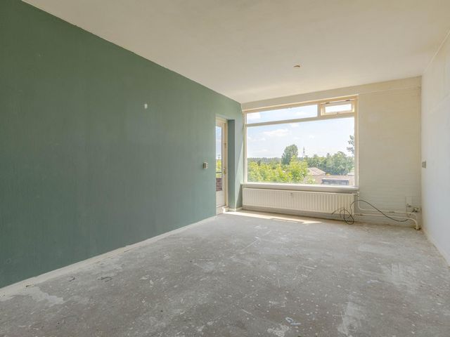 Ruigoord 196, Rotterdam