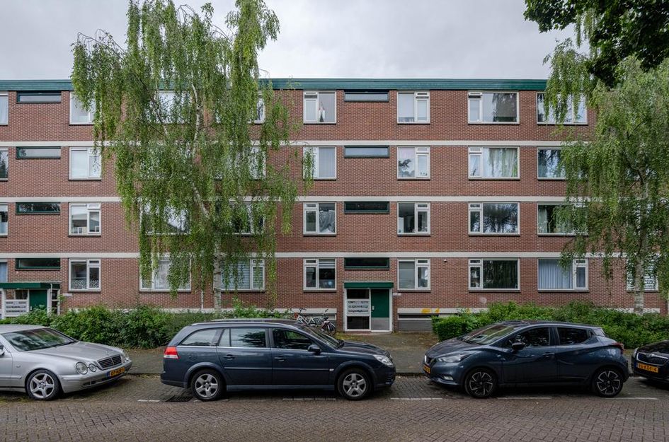 Ruigoord 196