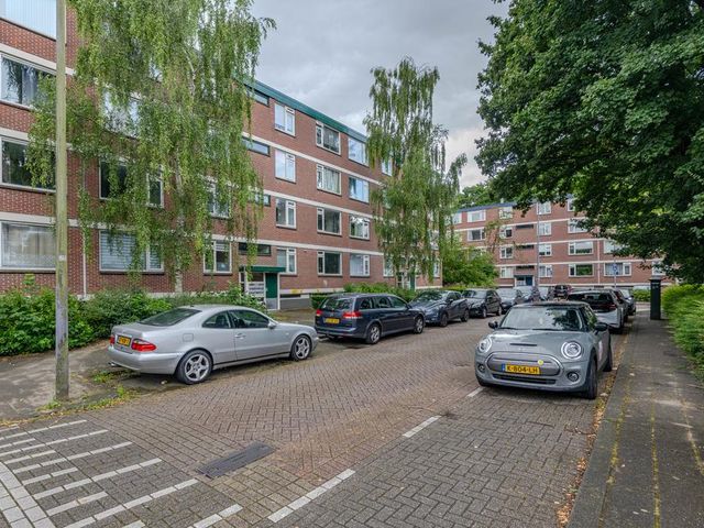 Ruigoord 196, Rotterdam