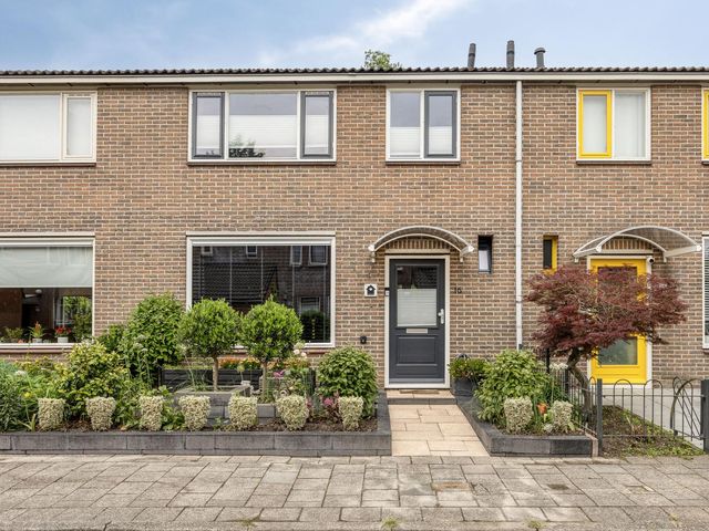 Ereprijs 16, Kampen