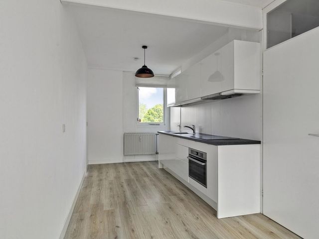 Stroveer 48, Rotterdam