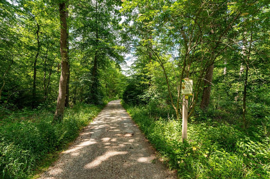 Traayweg 2