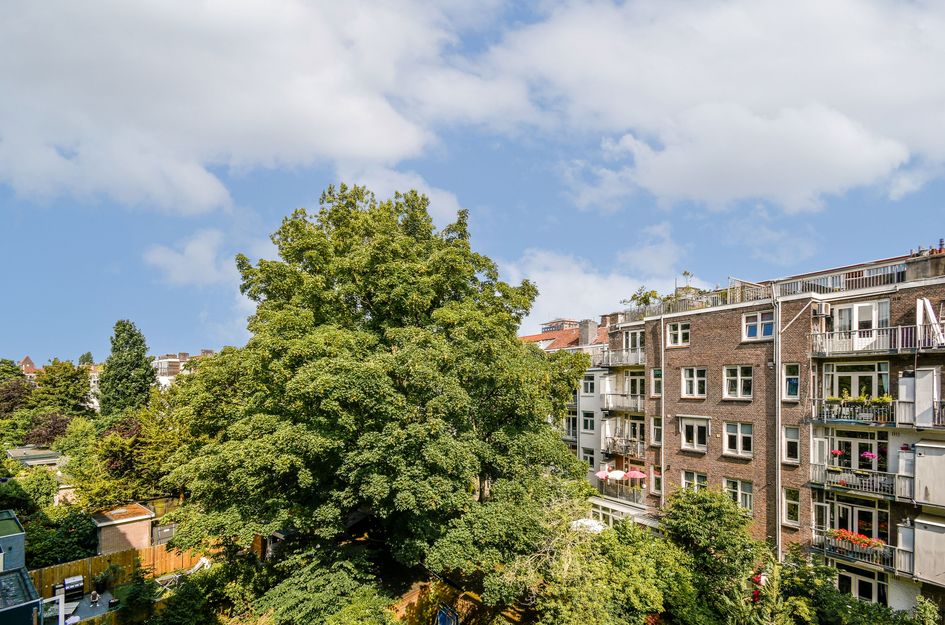 Biesboschstraat 24 3