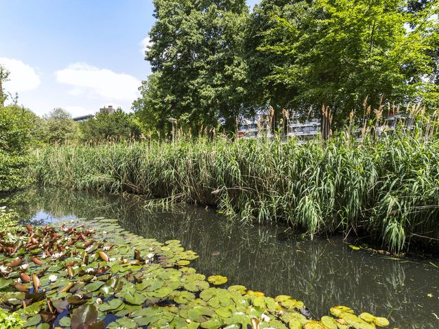 Heuvellaan 114, Gouda