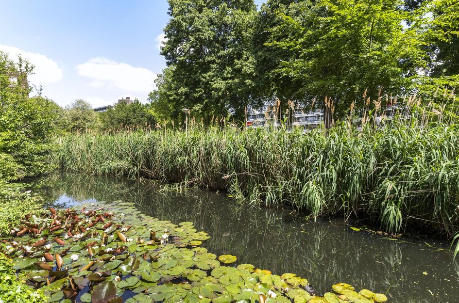 Heuvellaan 114