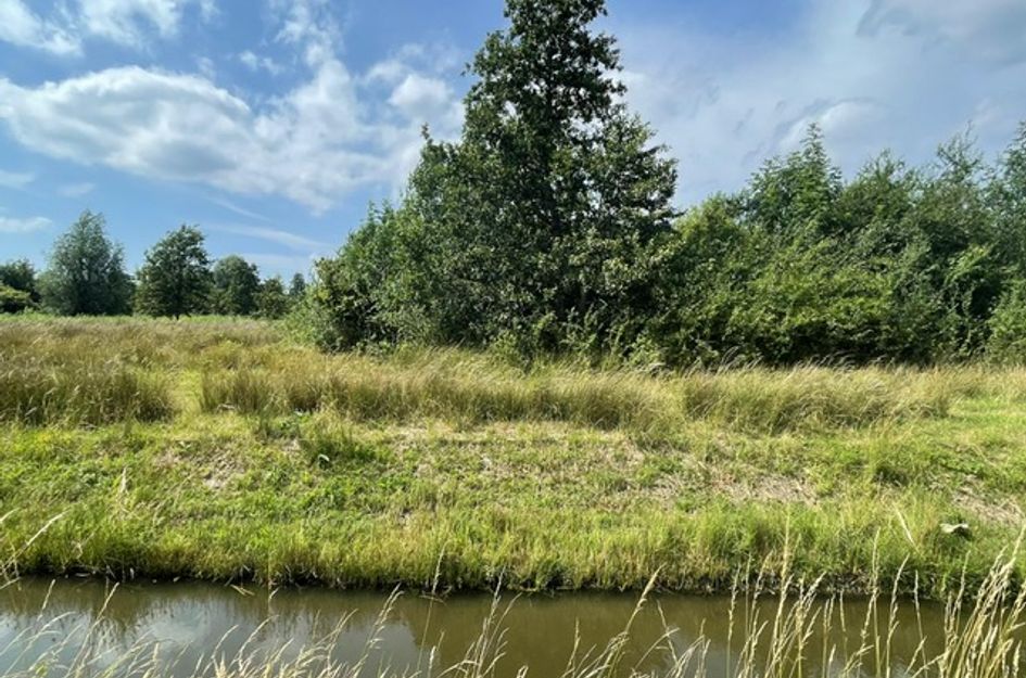 Beukenlaan 27