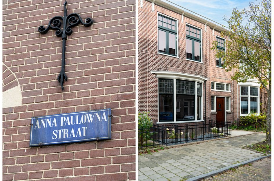 Anna Paulownastraat 8