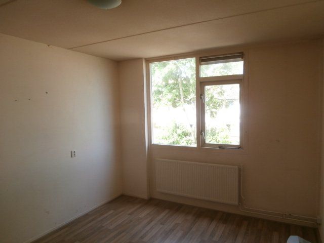 Kruiszwin 5227, Julianadorp