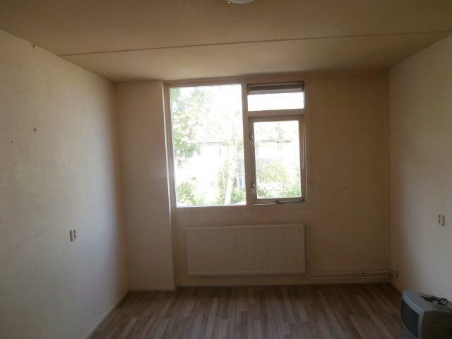 Kruiszwin 5227, Julianadorp