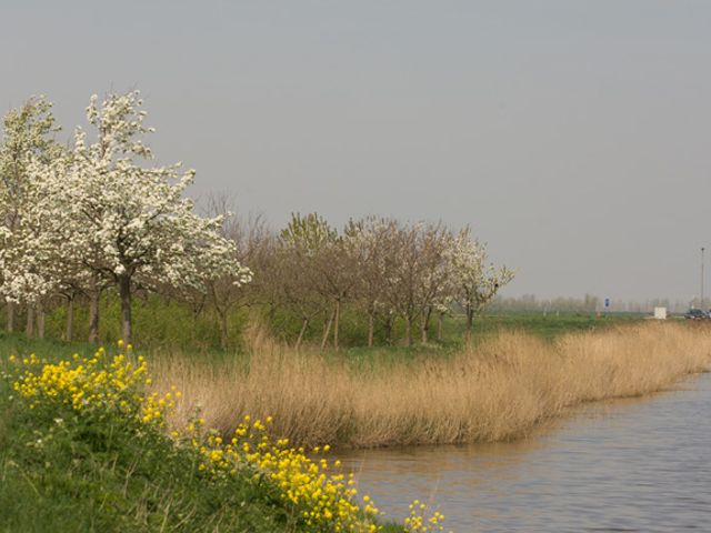 Sluisweg 8E, Sint Philipsland