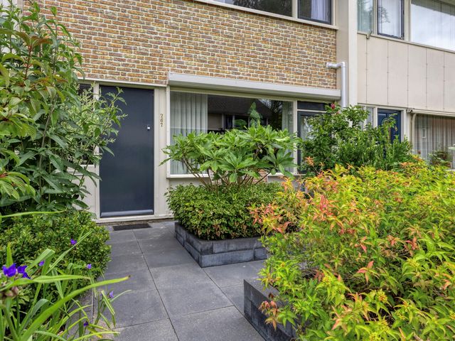 De Kap 267, Klazienaveen