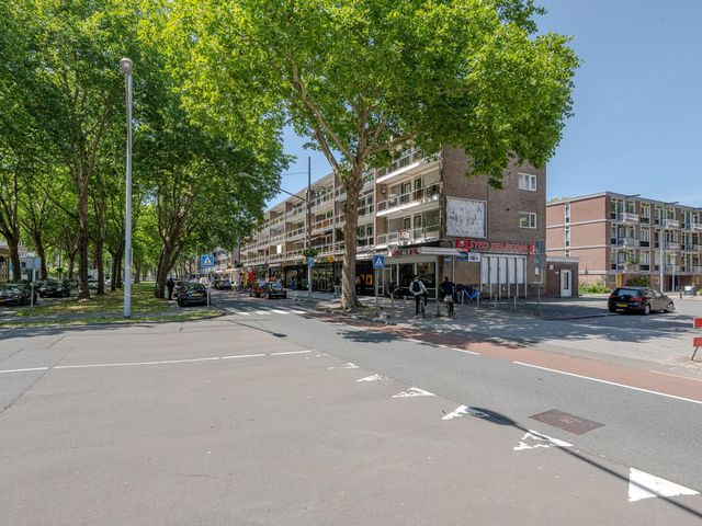 Hietkamp 75, Rotterdam