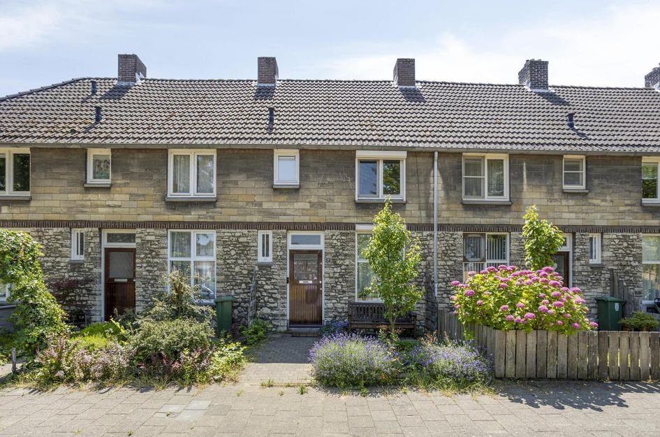 Professor Moserstraat 17