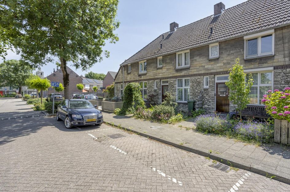 Professor Moserstraat 17
