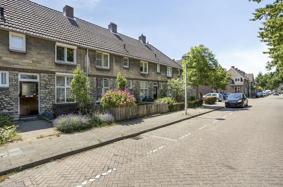 Professor Moserstraat 17