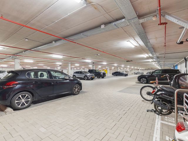 Mangoweg 335, Leiden