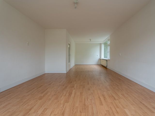 Valkreek 100, Rotterdam