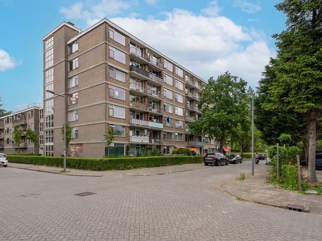 Valkreek 100, Rotterdam