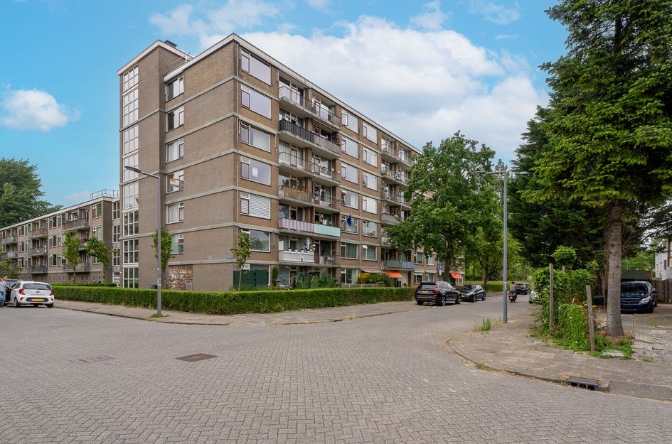Valkreek 100