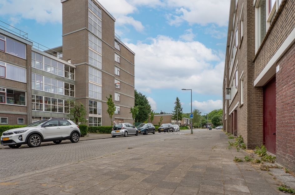Valkreek 100