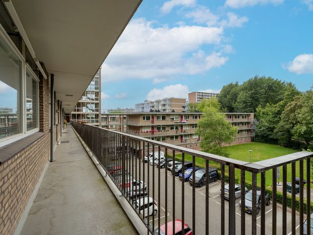 Valkreek 100, Rotterdam