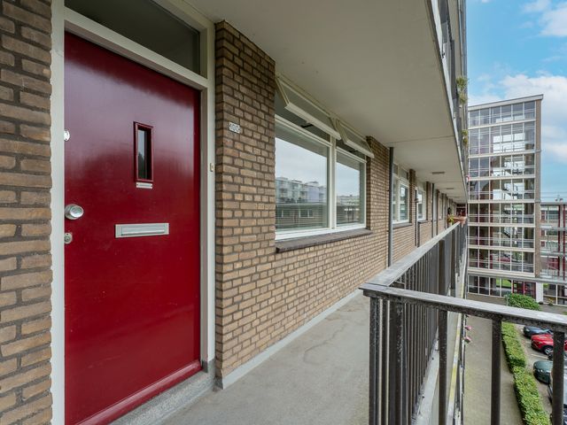 Valkreek 100, Rotterdam