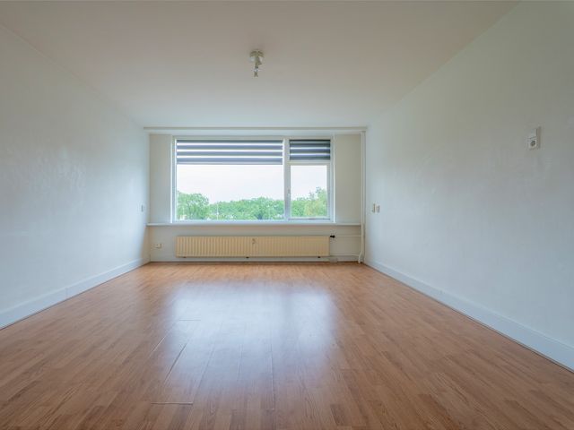 Valkreek 100, Rotterdam