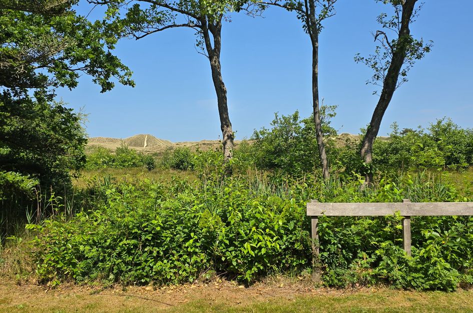 Duinweg Midsland 25P