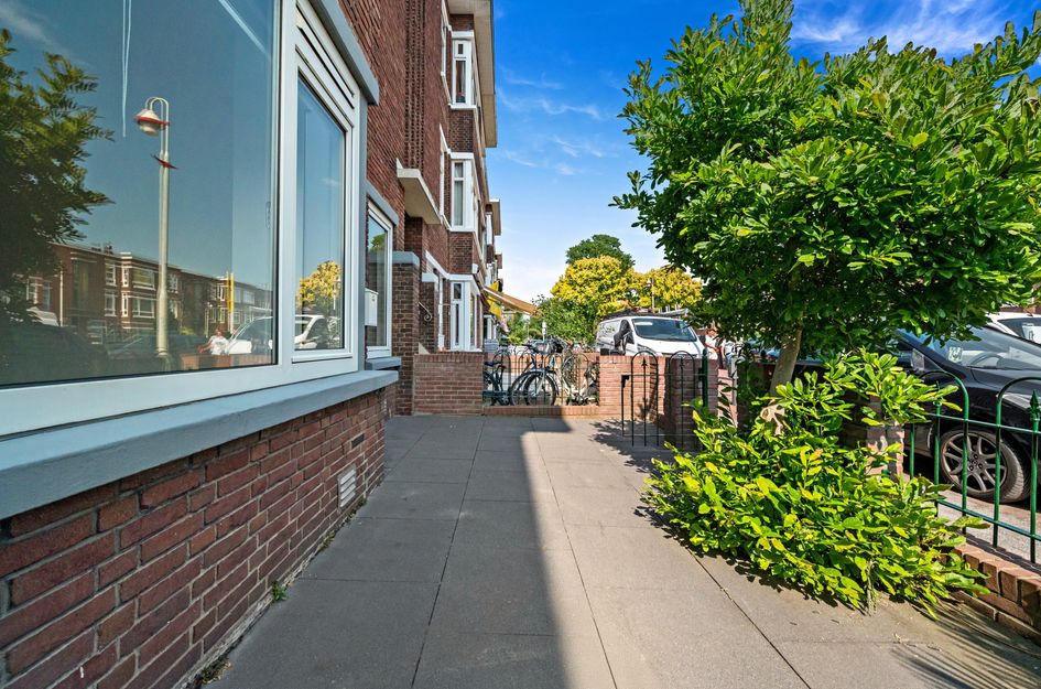 Damasstraat 241