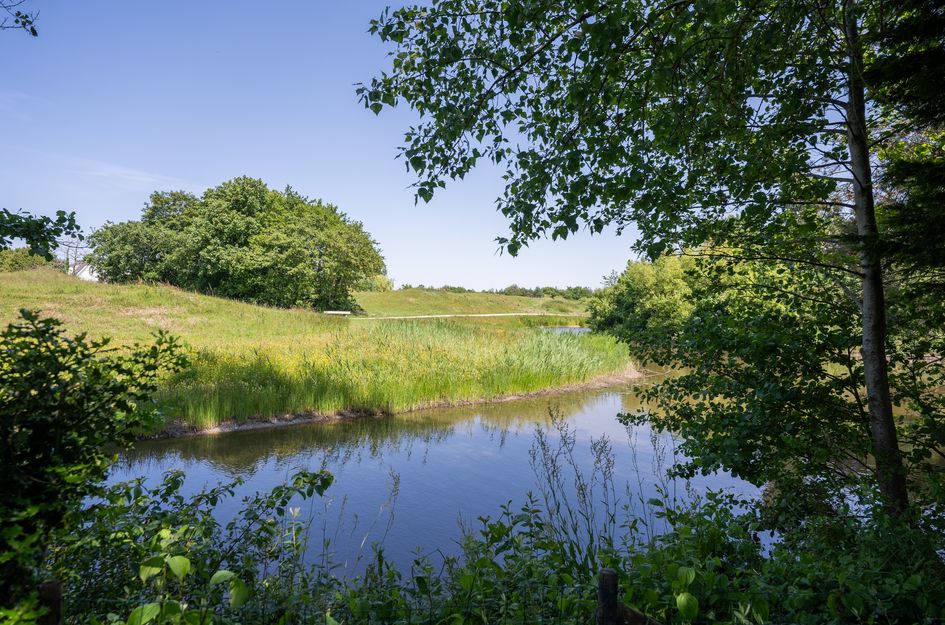 Roggeslootweg 599