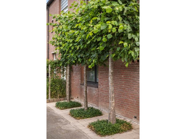 Bonekruidweg 2, Zwolle