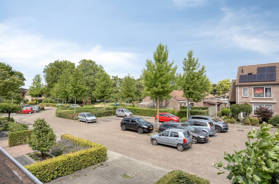 Domineesakker 14