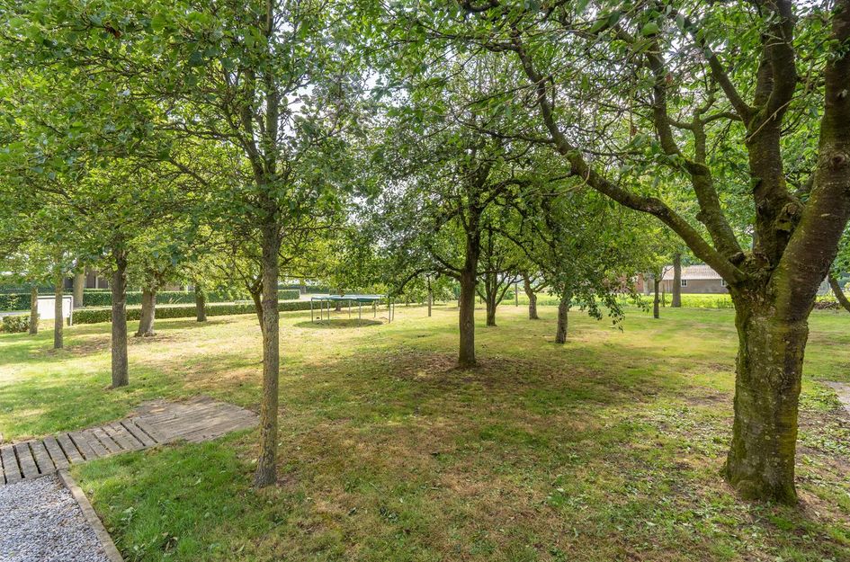 Rondweg 20
