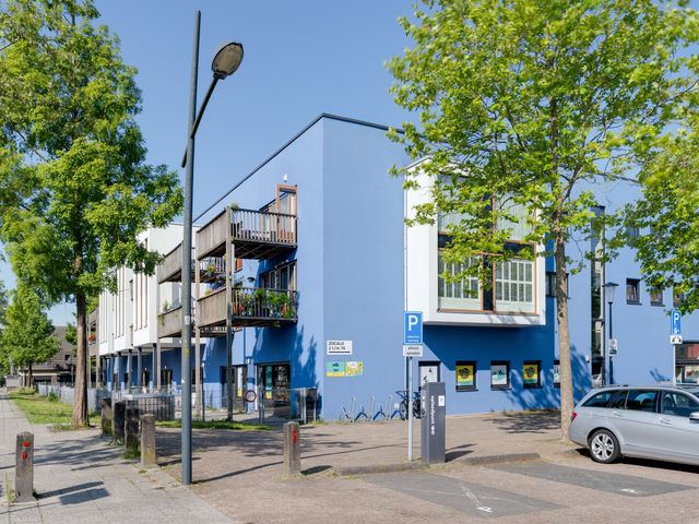 Zocalo 12, Assendelft