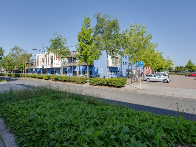 Zocalo 12, Assendelft