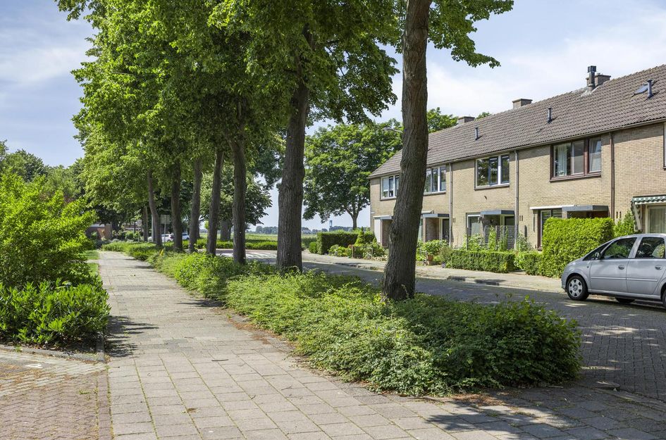 Plevierstraat 38