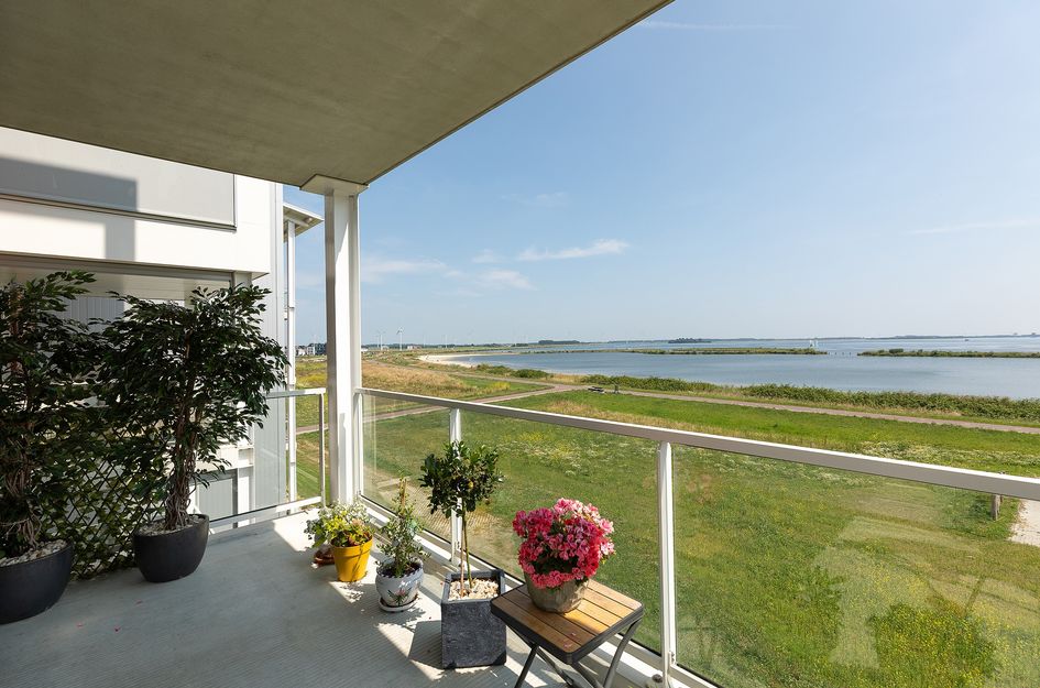 Kaapsduin 46