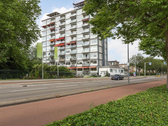 Kralingse Plaslaan 170, Rotterdam