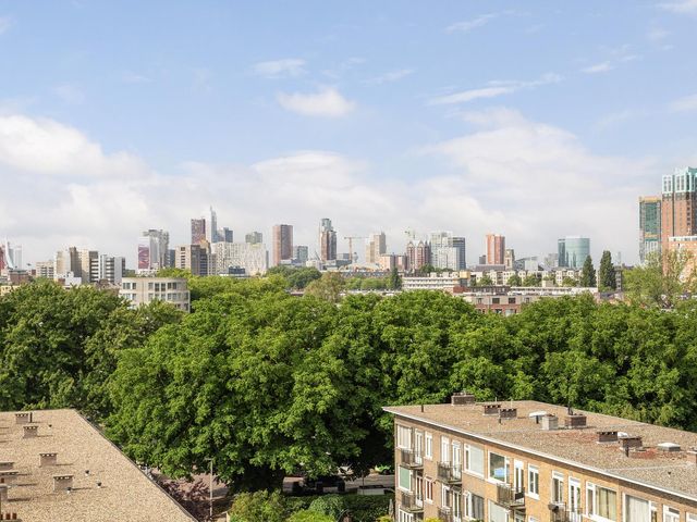 Kralingse Plaslaan 170, Rotterdam