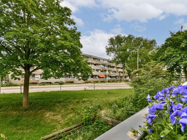 Eefsebeek 34, Zaandam